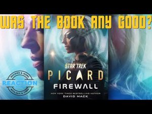 Star Trek: Picard Novel “Firewall” by David Mack. Starring Seven of Nine. Was The Book Any Good?”